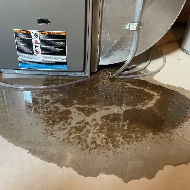 Appliance Leak Cleanup in Elizabeth, PA